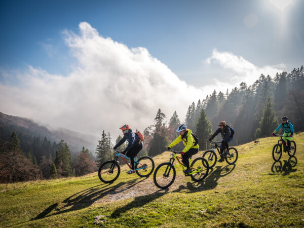Prüfungskurs Trainer B - MTB Guide [Digital]